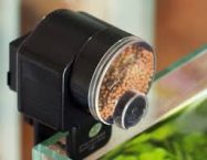 Comment distribuer la nourriture aux poissons ?